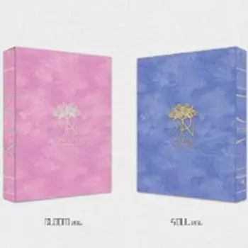 KINGDOM - История королевства Часть 6. Муджин - Случайный 0