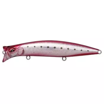 KIRINJI 120 GC Heat Sardine