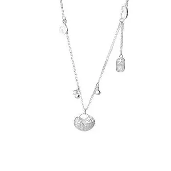 Китайский бренд Fengfu, замочная сумка, ожерелье, женская безопасная и успешная молитва о благословении ключичной цепи