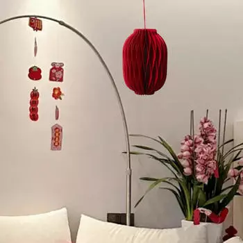 Китайский Год Фонарь Украшение Подвесной Орнамент Подарок Внутренний Весенний Фестиваль для Стены Type A