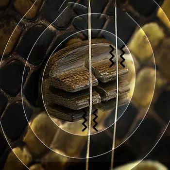 Китайский мост Эрху для деталей скрипки, аксессуаров для музыкальных инструментов C