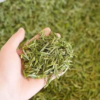 Китайский зеленый чай Аньхой премиум-класса Высокогорный чай из желтого золота Зеленый чай Маофэн