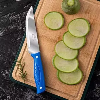 Kitchen Paring Knife Straight Edge Paring Knives Handle Ultra Sharp Kitchen Knife PP Plastic Handle 6inch Pointed Tip