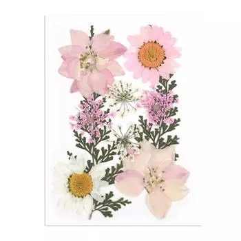 Классическая комбинация сухоцветов, маленькая упаковка, сухие растения для заливки в формы из эпоксидной смолы, украшения для ногтей своими руками