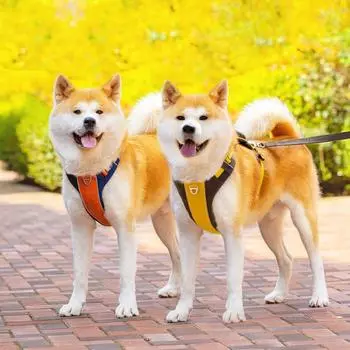 Классическая нейлоновая шлейка для собак с сумкой для хранения, светоотражающий жилет для собак, роскошная водонепроницаемая сетчатая шлейка для собак S