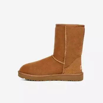 Классические шорты UGG II-1016223