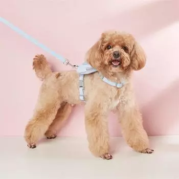 Классический комплект шлейки и поводка для домашних животных с мультяшным рюкзаком, регулируемый жилет, поводок для щенков, поводок для прогулок с кошкой, шлейка, товары для животных S