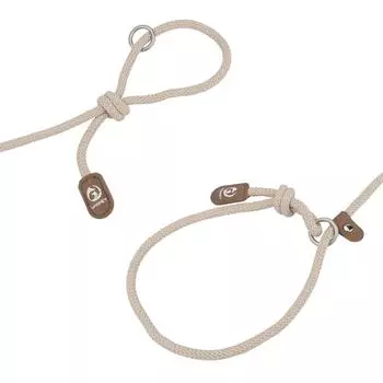 Классический поводок для собак, поводок-шнурок, прочный нейлоновый поводок для щенков - прочный, цветной, регулируемый поводок для дрессировки домашних животных для маленьких, средних и больших собак 0.8x325cm