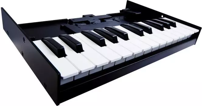 Клавиатурный блок Roland K-25M чёрный