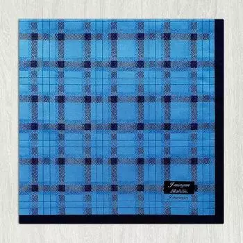 Клетчатый деловой костюм с карманным платком, сделанный в Японии Blue background
