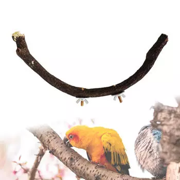 Клетка для птиц Ветка Ветка, Лазание Стоя Жевательная Подставка для Попугая U shaped