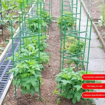 Клетки для томатов Уличные колья для растений Клетки для поддержки томатов Решетка Опоры для растений Садовые колья Клетки для восхождения овощей Решетка 80cm A