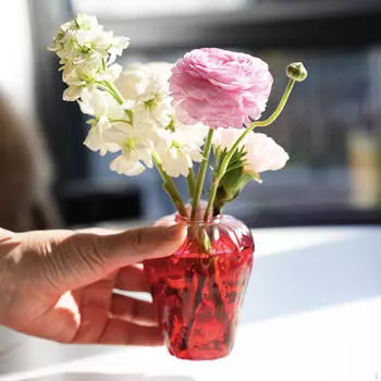 Клубничная ваза Цветочная композиция Креативное настольное украшение Подставка для растений Декоративное стекло