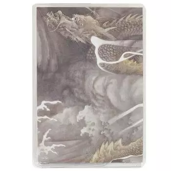 Книга Goshuin Книга с печатями Gojo с обложкой 160 x 109 мм Печать Gojo Книга с мехами Goshuin Nokei (Styleneo) (Унрю)