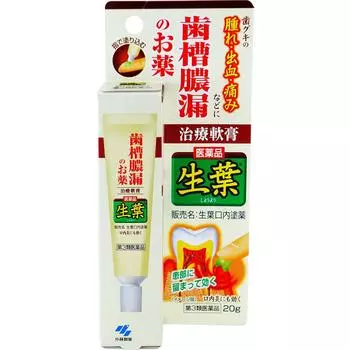Kobayashi Pharmaceutical Seiha Quasi-drug] Medicinal Platinum a 90g (Quasi-drug) Alveolar pyorrhea [Pharmaceuticals] Toothpaste Gingivitis and alveola