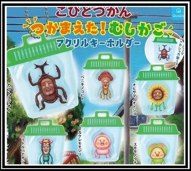 Kobito Zukan Mushikago Acrylic Key Chain of 6 Types Gacha Gacha Capsule Toy [Qualia] caught! [Set (Full Complete)]
