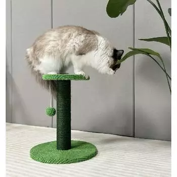 Когтеточка для кошек Когтеточка для кошек для использования в помещении с веревкой из сизаля и свисающим шариком Симпатичная когтеточка для кошек и кошек 30x30x36cm зелёный