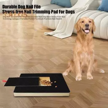 Когтеточка для собачьих когтей с коробкой для лакомств Экологичная нескользящая конструкция Регулируемая высота Когтеточка для собачьих когтей Товары для животных A