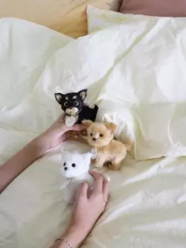 Kojimoji Real Puppy Dog Plush Real Puppy 3 вида, выберите 1, популярная фраза в Корее