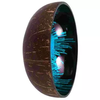 Кокосовая чаша, контейнер для конфет, держатель для орехов, контейнеры для хранения продуктов с крышками зелёный