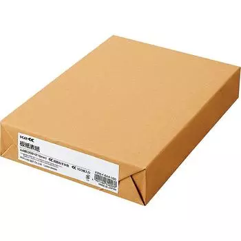 KOKUYO File Board Cover K2 A4 100 Sheets K2Sei-EA4-100