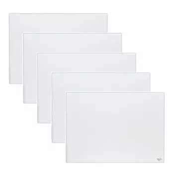 KOKUYO File Drawing Clear Holder General Type A2 100 sheets capacity 5 book set SE-F57X5