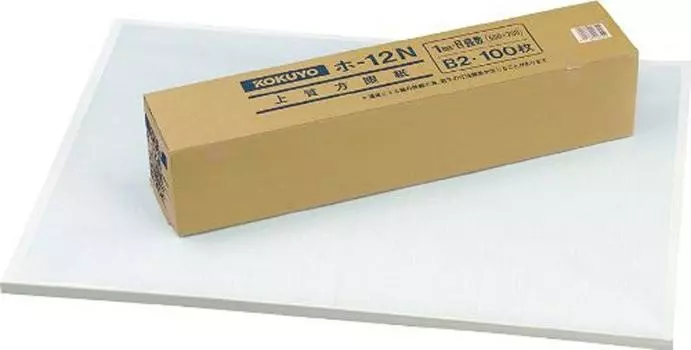 KOKUYO graph paper B2 100 sheets Ho-12