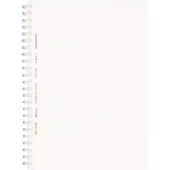 KOKUYO Note Мягкий блокнот на кольцах, прозрачный, 80 листов, формат А5 В, линованный, прозрачный S-SV538B-T