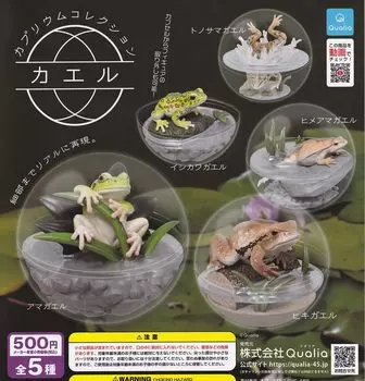 Коллекция Caprium Лягушка 5 видов Gacha Игрушка-капсула Gacha (Перепродажа) [Набор (Полный Полный)]