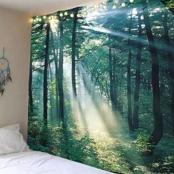 Коллекция декора, Лесная тропа в горах с видом на дикую природу вдалеке, Гостиная I