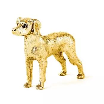 Коллекция художественных фигурок собак родезийского риджбека с покрытием из 22-каратного золота, сделанных в Англии золотой