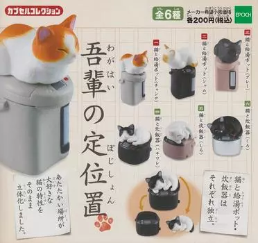 Коллекция капсул Моя фиксированная позиция Моя позиция Все 6 типов набор Gacha Gacha