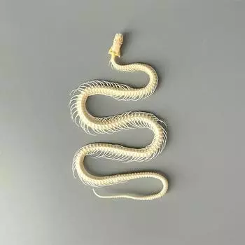 Коллекция моделей скелетов змей Образец Учебная модель Домашнее украшение Поделки своими руками Подарок