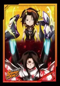 Коллекция обложки Bushiroad Mini SHAMAN KING Vol.574 Yoh & Hao