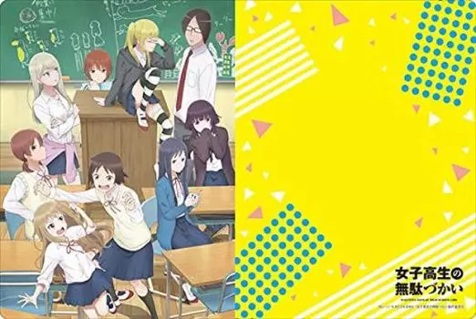 Коллекция резиновых ковриков Bushiroad Days of High School Vol.485 «Бесполезные девушки»