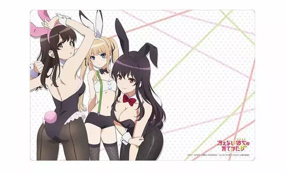 Коллекция резиновых ковриков Bushiroad Как вырастить скучную девушку Том 572 Саекано: «Мегуми, Эрири, Юта» Часть 2