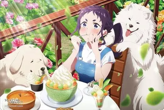 Коллекция резиновых ковриков Bushiroad V2 SELECTION PROJECT Vol.409 «Tsuchika Yagino» Часть 2