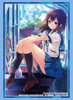 Коллекция рукавов Bushiroad High Grade Dengeki Bunko Strike the Blood Vol.4042 Юкина Химераги