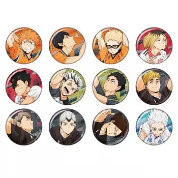 Коллекция значков «Haikyu Glitter» из 12 штук в коробке