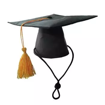 Колпачки для выпускников домашних животных, черная шляпа для выпускников с желтой кисточкой для собак, костюм для выпускников домашних животных, праздничные аксессуары для костюмов щенков и кошек чёрный