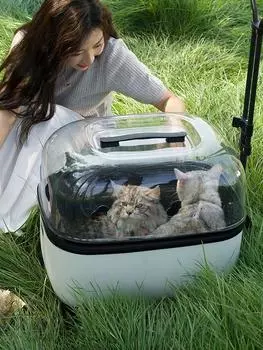 Коляска для домашних животных Кошачья сумка на колесиках Чемодан для путешествий для собак Большое пространство для переноски Кошачий багаж Переноски для домашних животных Товары белый
