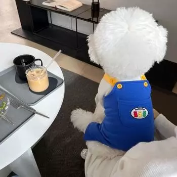 Комбинезон для собак, летняя одежда для щенков 2025 года, симпатичные комбинезоны для домашних животных, повседневные штаны для собак с цветными блоками, подтяжки для собак, мопсов, чихуахуа, пальто для собак XS жёлтый