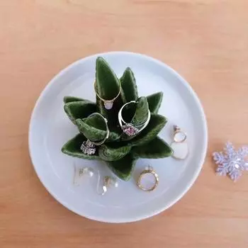 Комод Алоэ Вера Поднос для ювелирных изделий Подставка для хранения Поднос для хранения Кольцо Держатель Керамический A