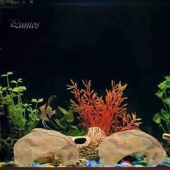 Компактный износостойкий мелкозернистый укрытие для черепах, пещера для укрытия черепах, аквариумное украшение, резервуар для хранения