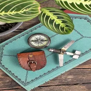 Компас Странник