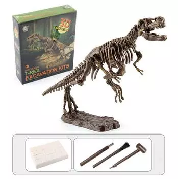 Комплект для раскопок, моделирование окаменелостей динозавров, скелет, археологическое образование