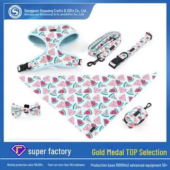 Комплект из дышащей сетчатой шлейки и поводка для собак в стиле жилета S