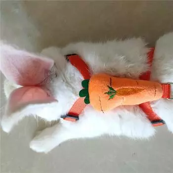 Комплект из шлейки и поводка для кроликов, регулируемый для мелких животных, хорьков, поросят, ёжиков, для прогулок на свежем воздухе, милые украшения красный