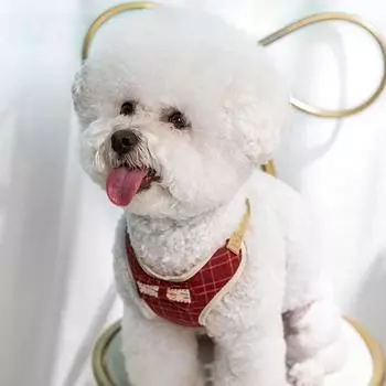 Комплект из шлейки и поводка для маленьких собак, жилет для кошек, поводок с бантом и сеткой, мягкие поводки для маленьких щенков, чихуахуа, йорков S