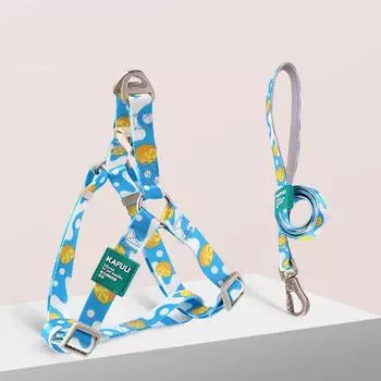 Комплект из шлейки и поводка для собак, жилет для домашних животных, регулируемый поводок для собак, дышащая шлейка для домашних животных для маленьких и средних собак, товары для животных M chest 42-57cm&CHINA